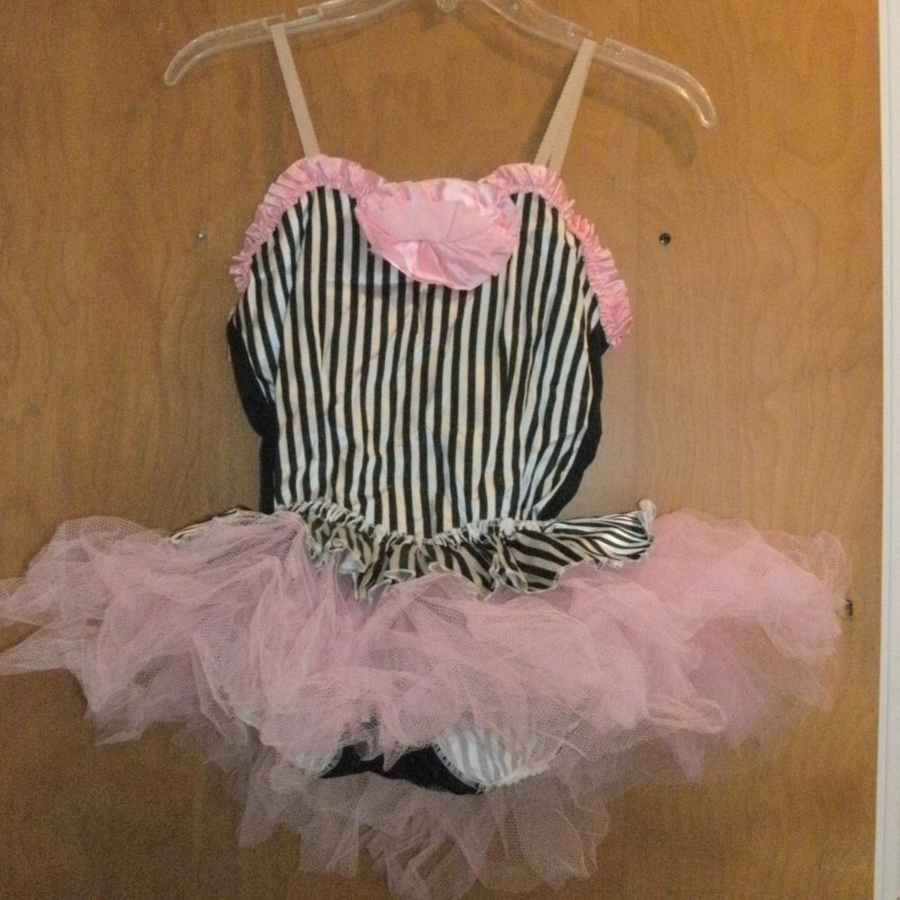 Elegant White & Black Stripe Pink Tutu Ballet Dance Outfit Costume Leotard